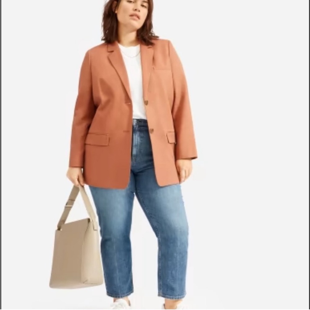 Everlane Terracotta Single-Breasted Blazer